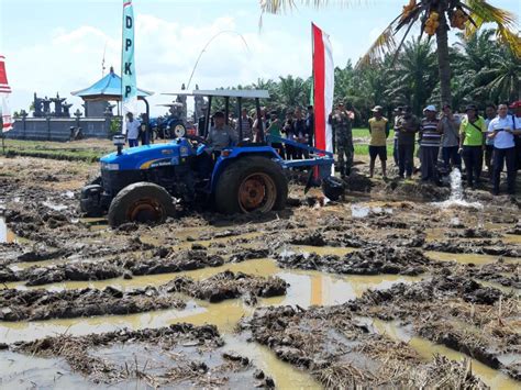 Indeks Ketahanan Pangan Indonesia Meningkat Tajam LIPUTAN CO ID