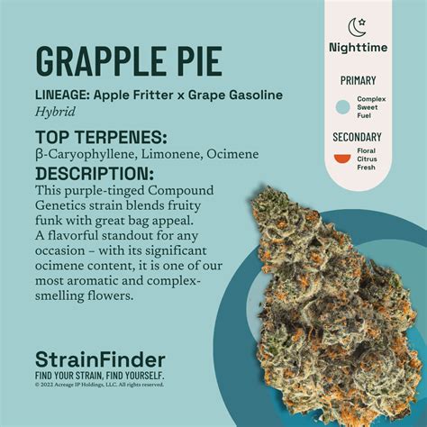explore  botanist grapple pie cannabis strain   botanist