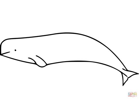 Beluga Whale coloring page | Free Printable Coloring Pages