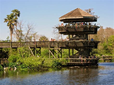 Amusement Park... Stuff: A couple of hours at Gatorland