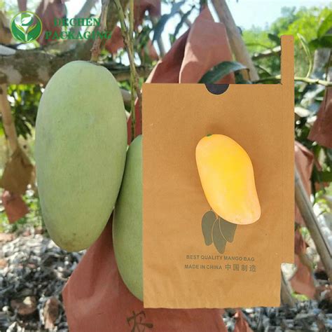 Fruit Waterproof Growing Protection Bags Mango Paper Shoulder Cover Bag