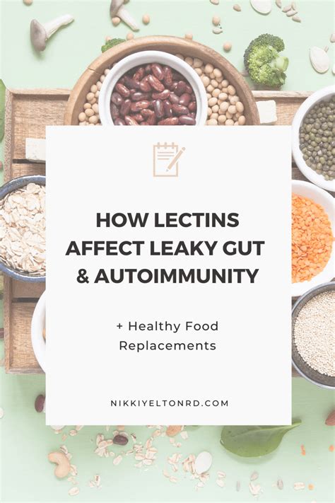 How Lectins In Food Affect Leaky Gut And Autoimmunity Nikki Yelton Rd