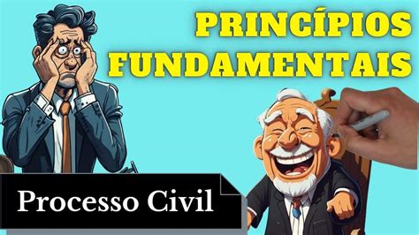 Princípios Fundamentais do Processo Civil Resumo Completo