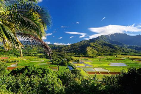 North Shore Kauai Guide: Eat, Stay, and Play (2023) - Hawaii Travel Spot