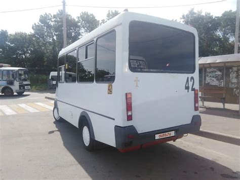 Газель дельфин (38 фото) - фото - картинки и рисунки: скачать бесплатно