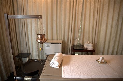 Ayurveda Based New Wellness Centre Opens In Kolkata S New Town