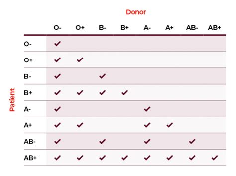 Red Cross Blood Type Chart