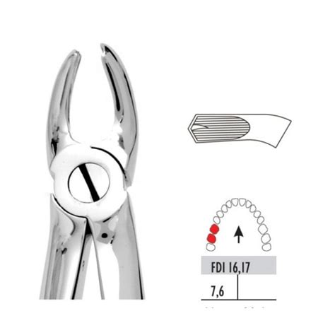 Unodent Forceps Premier Range Upper Molars Right