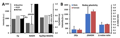 Antioxidants Free Full Text Sex And Sp A2 Dependent Nadh Redox