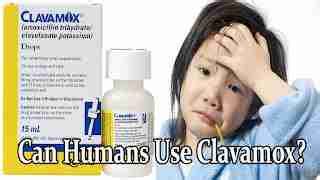 Clavamox for Humans | Can Humans Use Clavamox?