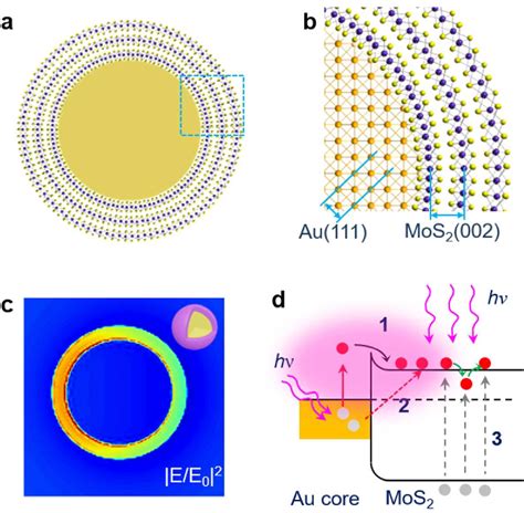 Figure 1 From Superior Plasmonic Photodetectors Based On Aumos2 Core