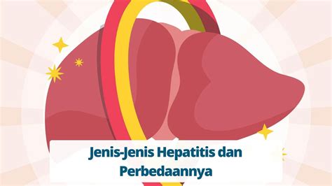 Jenis Jenis Hepatitis Dan Perbedaannya Primaya Hospital