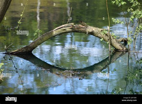 Ellipse Water Hi Res Stock Photography And Images Alamy