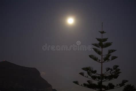 Full moon at night stock image. Image of eclipse, nature - 269212537