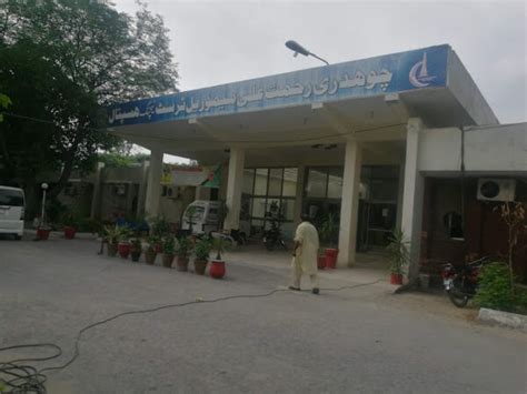 Top 8 Hospital Of Lahore Best Pilesbawaseer Treatment Leukorrhea