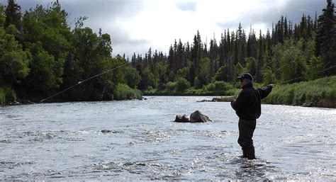 Fly Fishing for Trophy Rainbow Trout on Alaska's Copper River