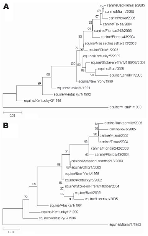 Figure Phylogenetic Relationships Among The Hemagglutinin H