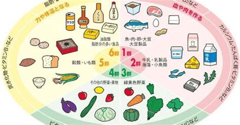 「食品の栄養的な特質【6つの基礎食品群】」の授業｜ふぃがろ