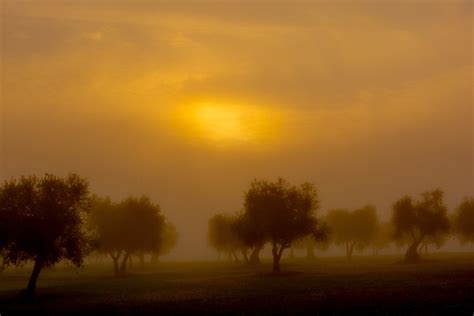 Nebel Liebling Landschaft Kostenloses Foto Auf Pixabay Pixabay