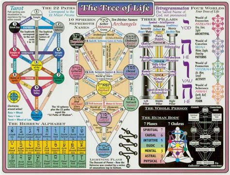 Cábala קבלה El Arbol de la Vida como representación del hombre