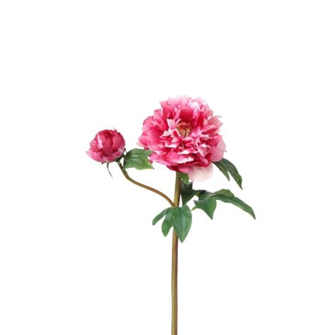 Tige De Pivoine Artificielle Fuchsia H35 Maisons Du Monde