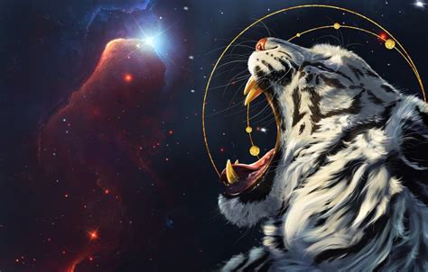 Space Tiger Wallpapers Wallpaper Cave