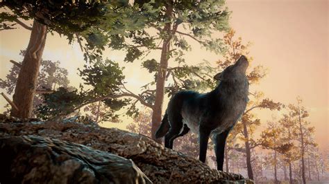 Wolf Survival on Steam