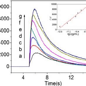 ECL Intensity Potential Profiles Of The ECL Peptide Based Biosensor