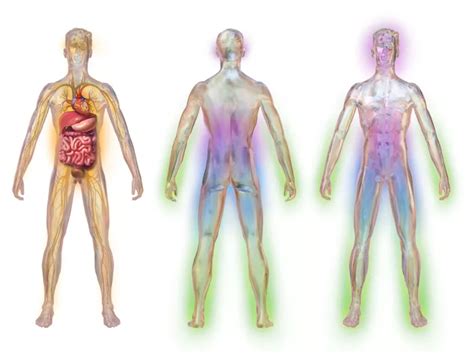 Diabetic Neuropathy - DoveMed