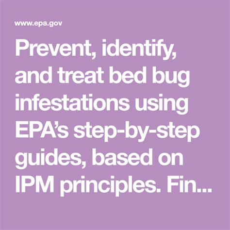 Prevent Identify And Treat Bed Bug Infestations Using EPAs Step By