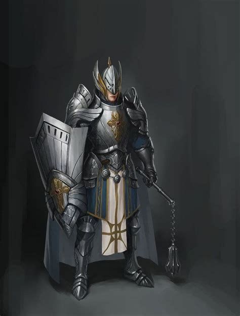 F Paladin Plate Armor Helm Shield Cloak Flail 1 Elf Warrior