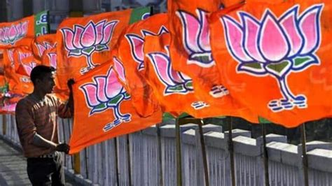 Mcd Election 2022 Results Full List Of Bjp Winners Latest News Delhi