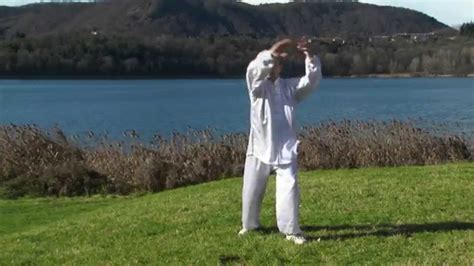 Tai Chi Forma 24 Yang Pos 13 Francesco Curci Tai Chi Online