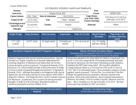 Psychosocial Nursing Care Plan Examples