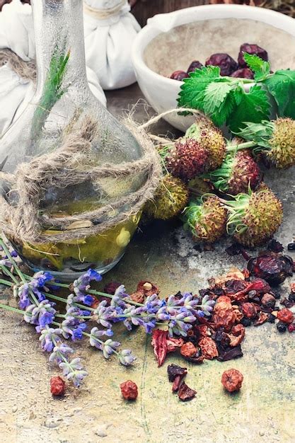 Premium Photo Still Life With Harvest Medicinal Herbs