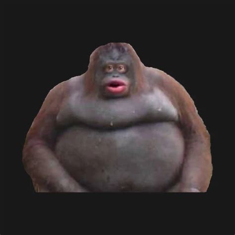 uh  stinky teh meme wiki fandom