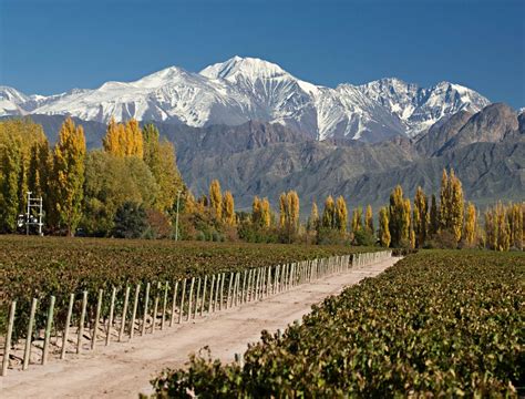 MENDOZA O charme das vinícolas B A Plus Agência de Viagens e