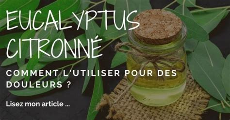 Comment Utiliser Leucalyptus Contre Les Moustiques MamanSanta