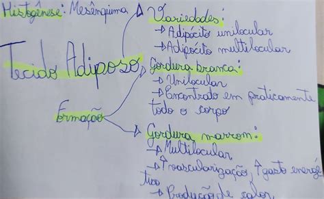 Mapa Mental Tecido Adiposo Histologia I Porn Sex Picture