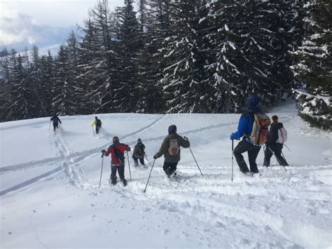 Pass montagne balades et randonnées en raquettes Prestataires