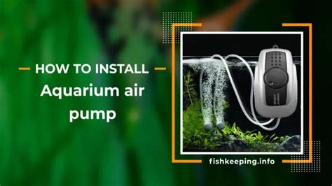 How To Put Aquarium Air Pump A Beginner S Guide To Setting Up Air Pump