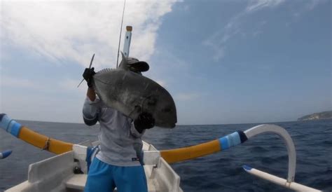 Pancing Ikan Laut Dalam / 9 Teknik Mancing Di Laut Bagi Pemula - Erling Larson