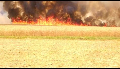 200 Bighas Of Crop Burnt To Ashes In Auraiya Farmers Desperate To See