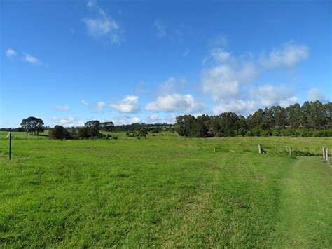 Maleny Trail Peace In The Trees Circuit Aussie Bushwalking