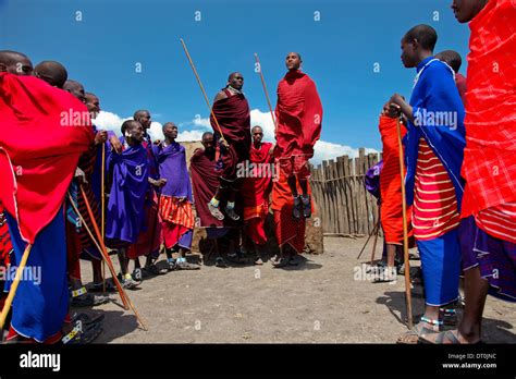 Maasai Warriors Jumping Hi Res Stock Photography And Images Alamy