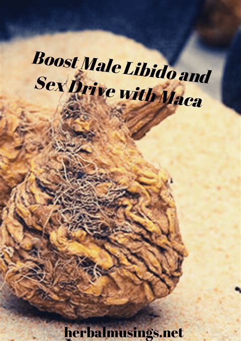 Boost Male Libido And Sex Drive With Maca Herbal Musings