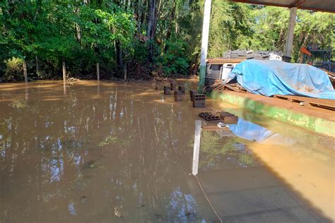 Viveiro Florestal De Pitanga Fecha Temporariamente Ap S Ser Danificado