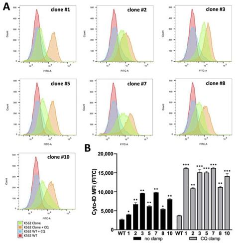 Genes Free Full Text Production And Characterization Of K562 Cellular Clones Hyper