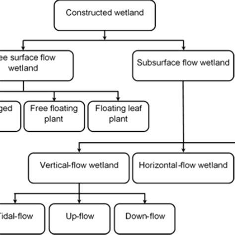 Schematic Of A Horizontal Subsurface Flow Constructed Wetland Which