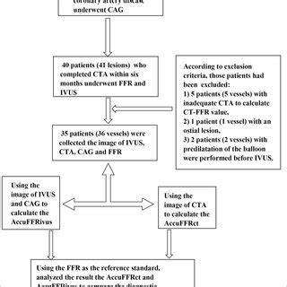 Participant Flowchart Of The Study FFR Fractional Flow Reserve